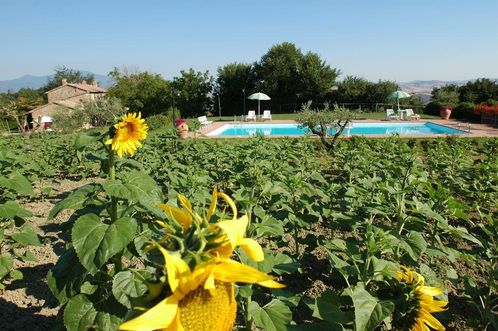 فيلا Agriturismo Poggio Porsenna - Con Piscina Proceno المظهر الخارجي الصورة