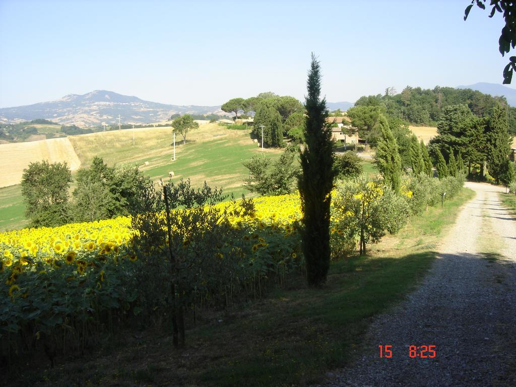 فيلا Agriturismo Poggio Porsenna - Con Piscina Proceno المظهر الخارجي الصورة