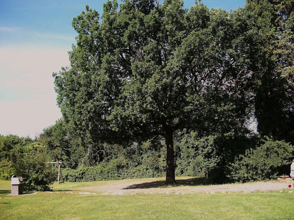 فيلا Agriturismo Poggio Porsenna - Con Piscina Proceno المظهر الخارجي الصورة